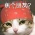 用户头像