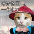用户头像