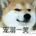 个人头像